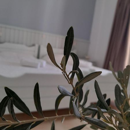 Elia Bed & Breakfast Skala  Bagian luar foto