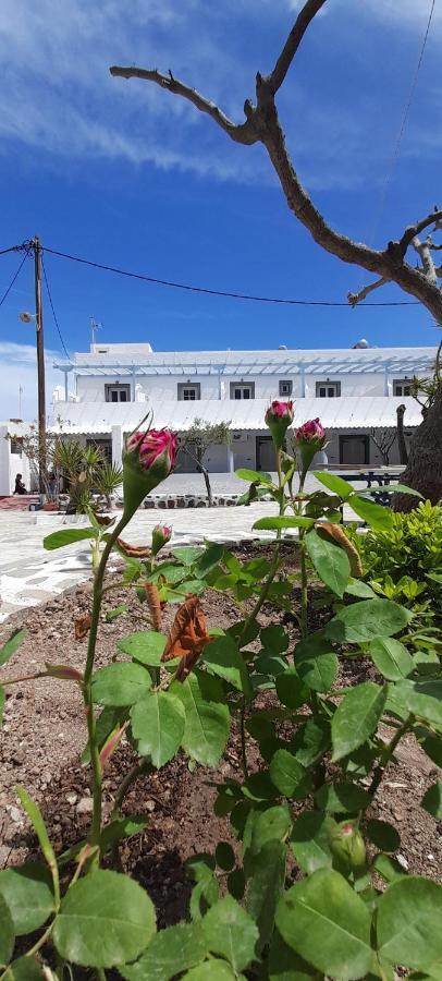 Elia Bed & Breakfast Skala  Bagian luar foto